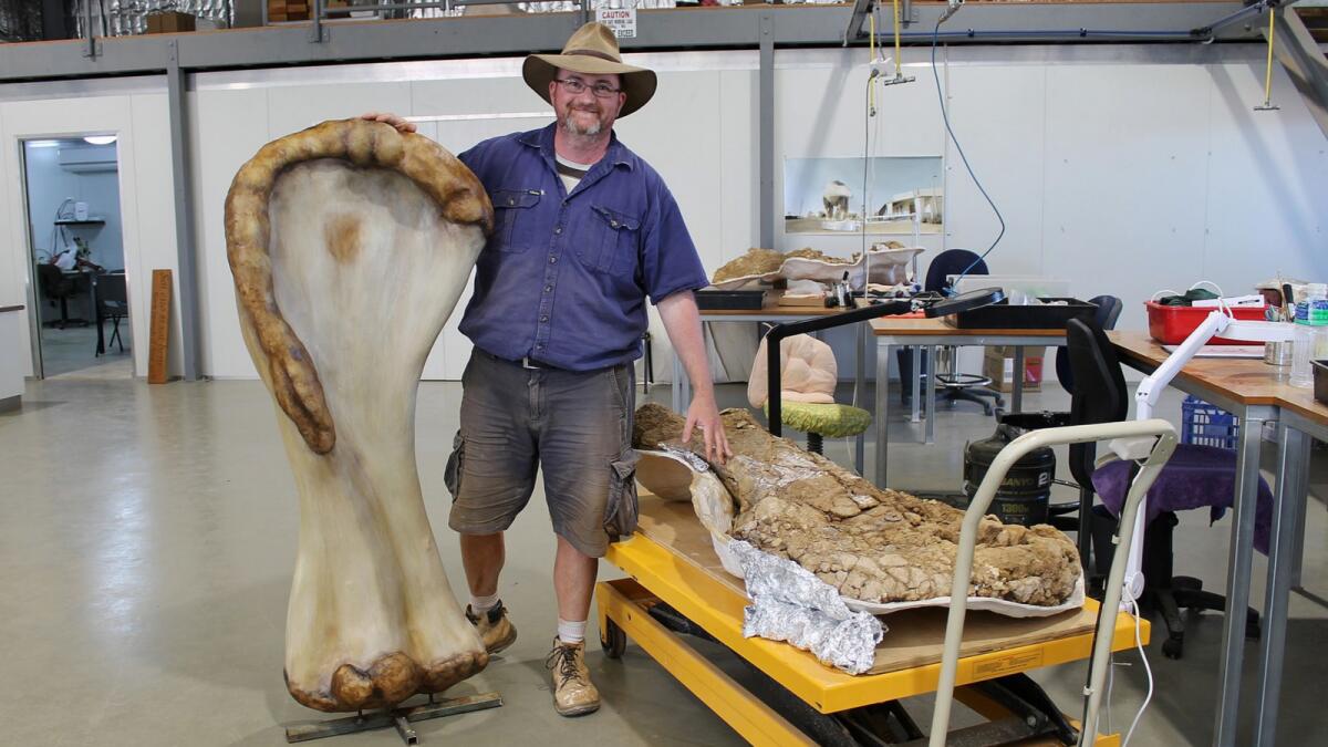Dr. Scott Hocknull poses with a 3D reconstruction and the humerus bone of 'Cooper,' a new species of dinosaur discovered in Queensland and recognised as the largest ever found in Australia. Reuters