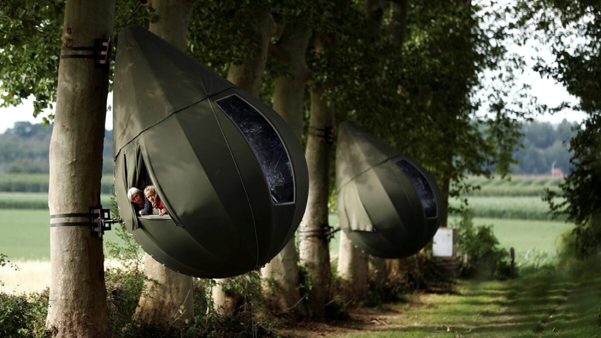 Guests pose as they sit inside a teardrop-shaped tent hanging from a tree created by Dutch artist Dre Wapenaar, offering an unusual accommodation for tourists in the Belgian countryside, near Borgloon, Belgium. Photo: Reuters
