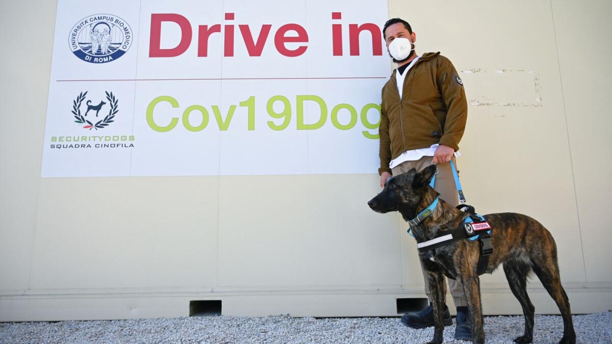 An instructor poses with his sniffer dog during an experimental training to detect Covid-19 through sweat,. Photo: AFP