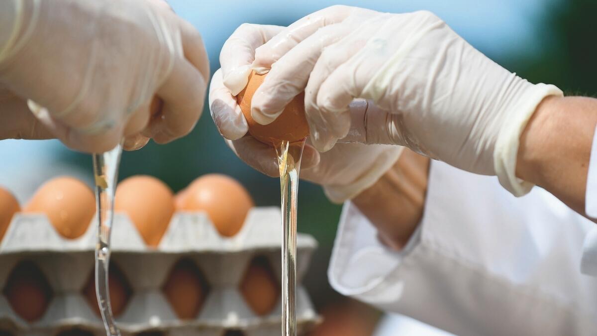 Cracking discovery: Japan scientist uses egg white for clean energy