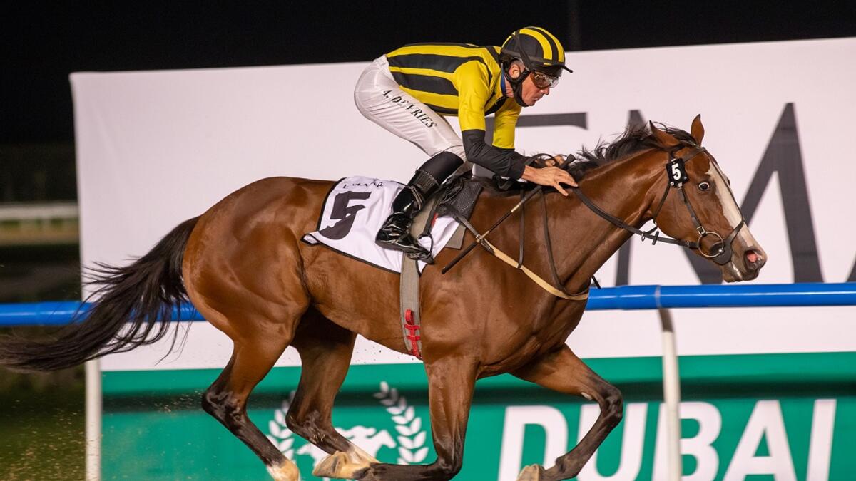 Bahraini filly Shahama is one of the most outstanding horses to have raced in Dubai this season. (Supplied photo)