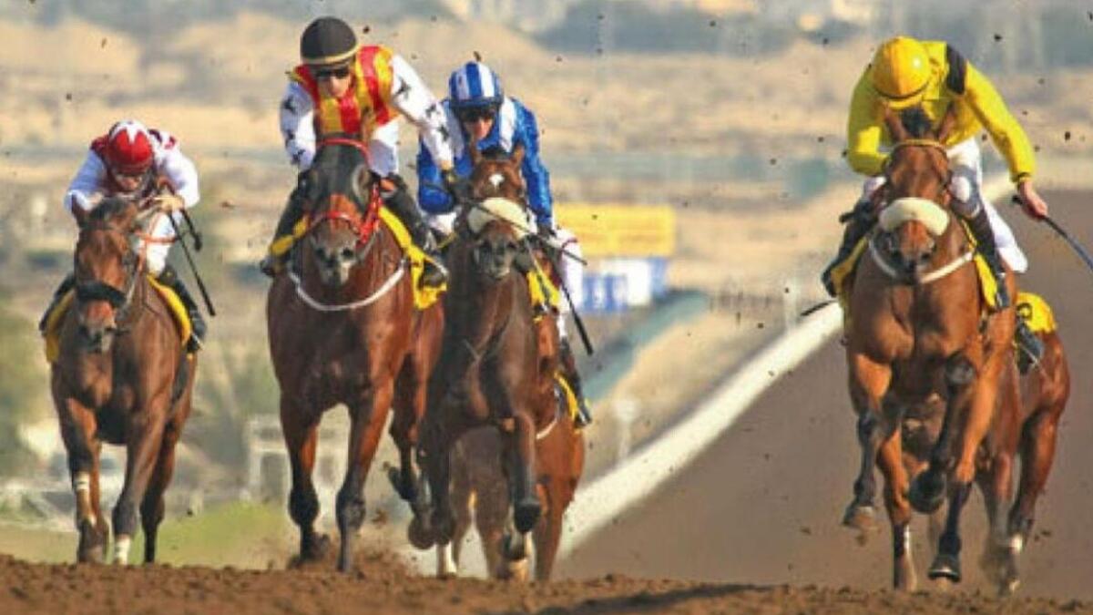 Michael Costa saddled five winners on the opening day's racing at Jebel Ali Racecourse two weeks ago. - KT File