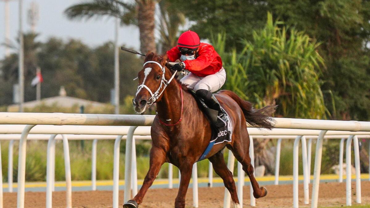 Fernando Jara rides Hisham Al Khalediah II to victory in the Emirates Arabian Horse Society maiden in Abu Dhabi on Sunday night. — Emirates Racing Authority