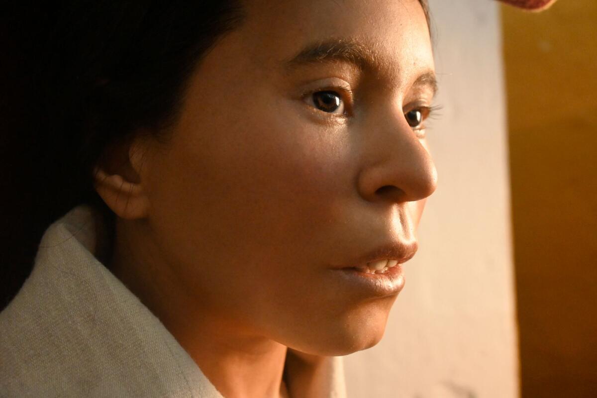 The reconstruction of the face of a young woman who was found frozen and mummified near the summit of Mount Ampato in the Peruvian Andes. -- AP