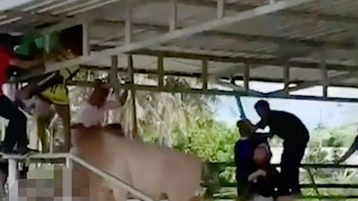 bull gores woman, thailand. viral video