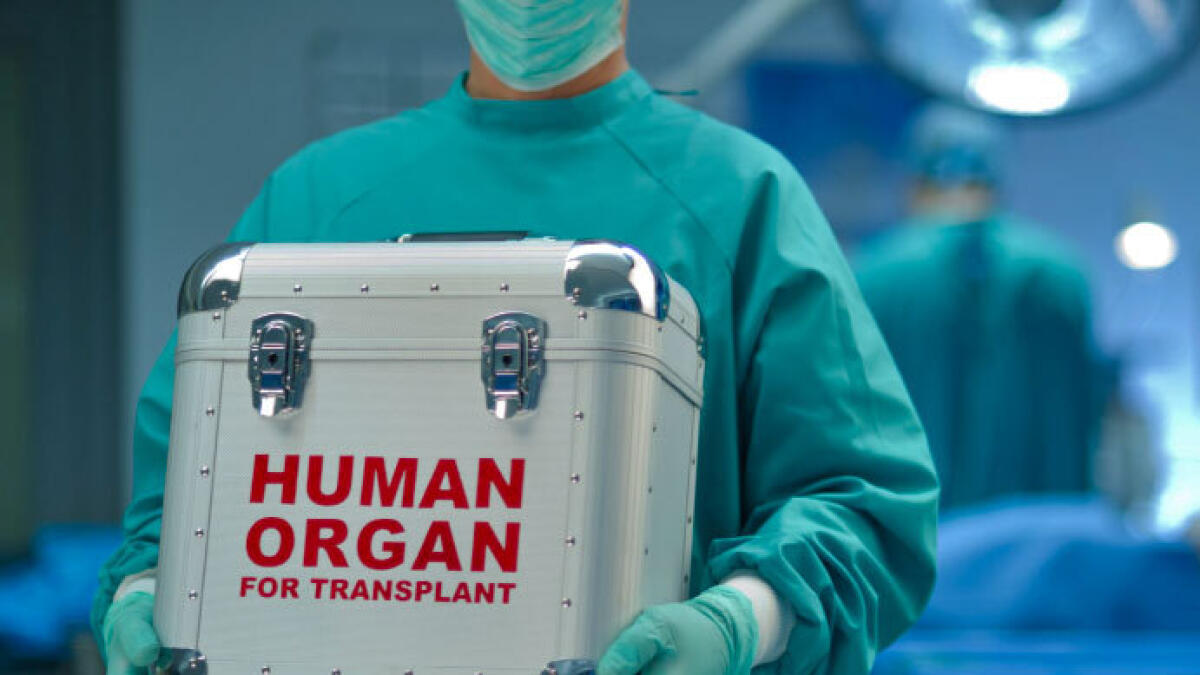 China forcing prisoners to donate organs for black market