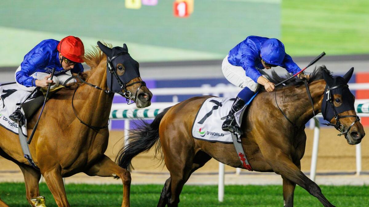 English Rose (L) finishing second to Silver Lady in the Cape Verdi. - Photo by DRC