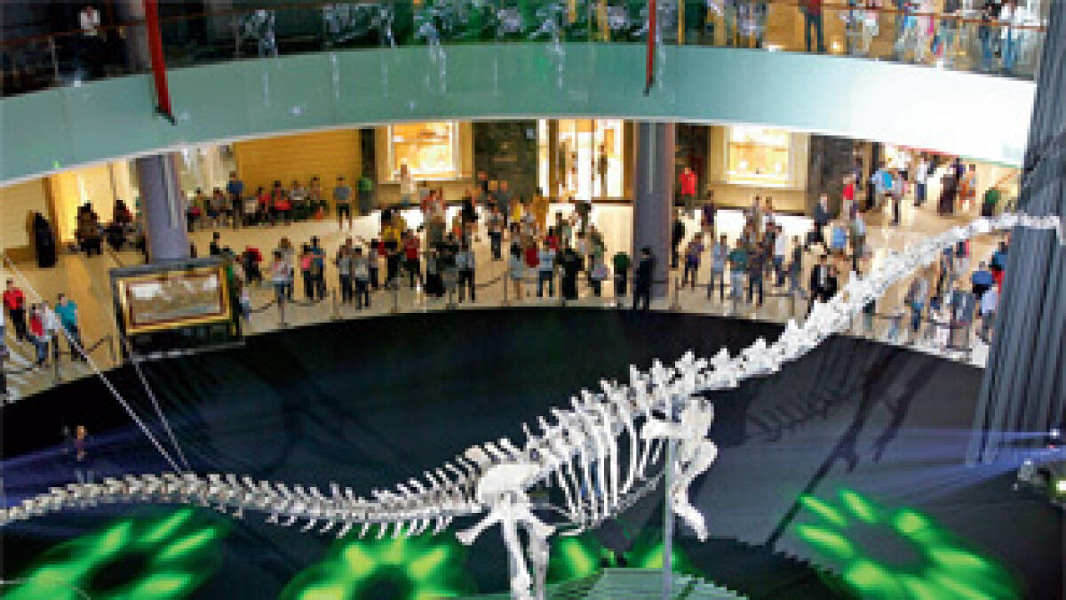 155 million-year-old dinosaur at Dubai Mall