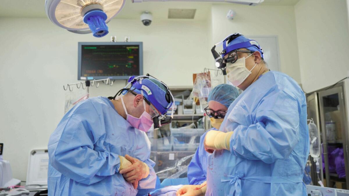Dr Nader Moazami and cardiothoracic physician assistant Amanda Merrifield and other members of a surgical team prepare for the transplant of a genetically modified pig heart into a recently deceased donor at NYU Langone Health. — AP