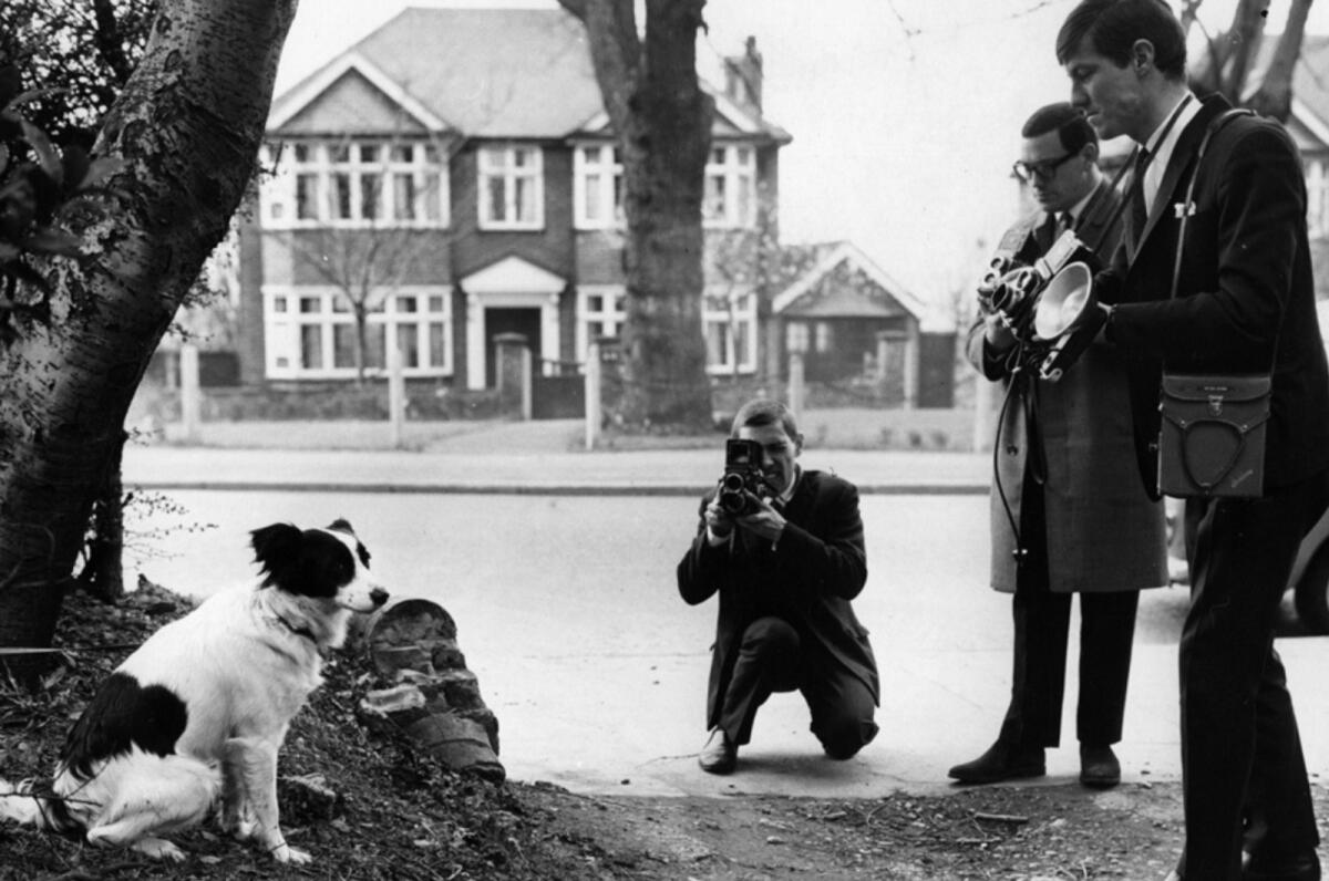 A dog named Pickles tracked down the missing World Cup trophy in 1966. (Fifa)