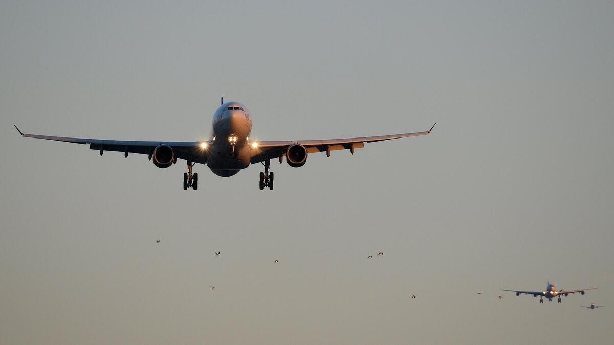 FlyDubai flight to Saudi suffers bird strike soon after take-off