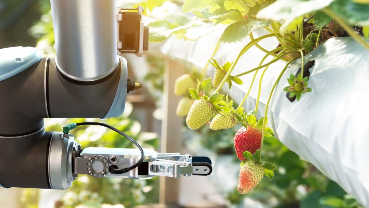 The Food For Future Summit &amp; Expo will be co-located with the Global Agtech Innovation Expo to form a powerhouse of industry innovation and progression