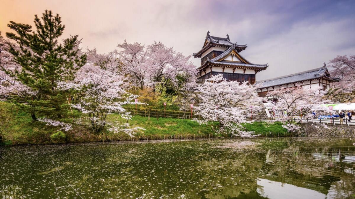 Idyllic holidays in enchanting Japan