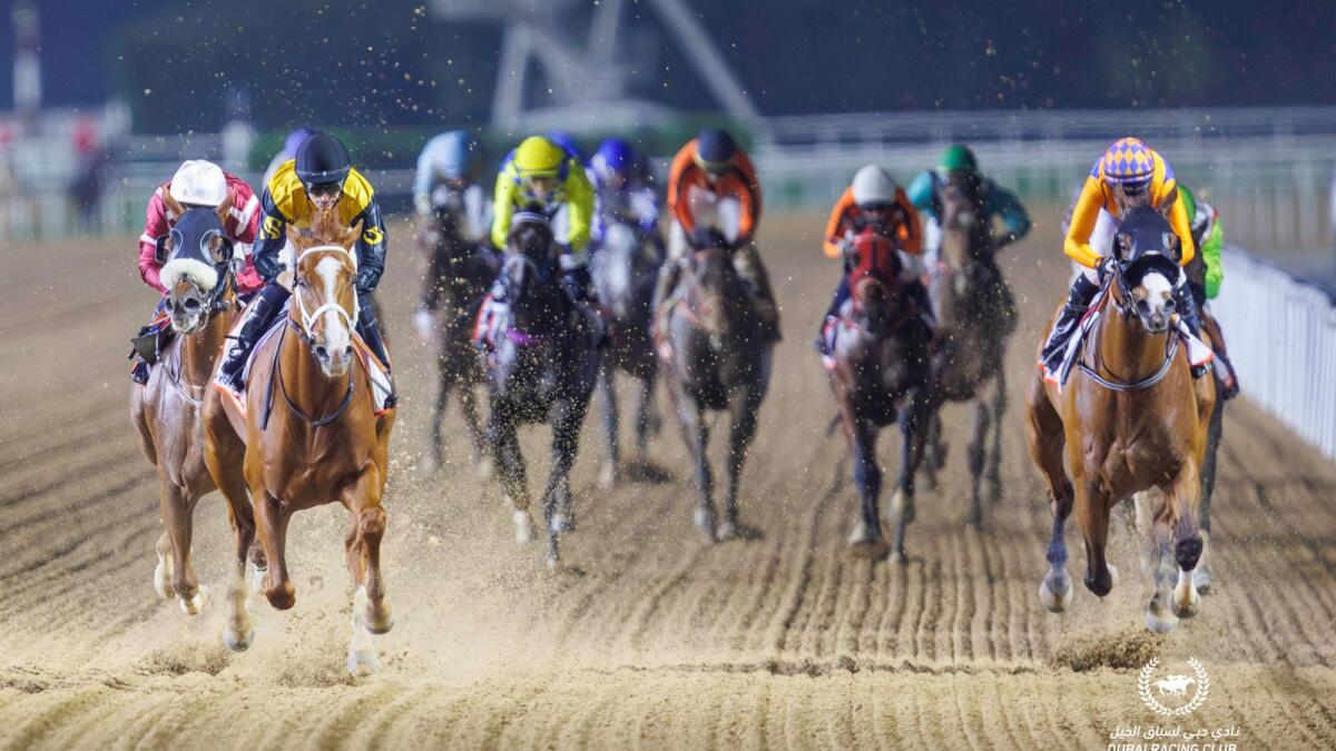 Big night for racing at Meydan building up to next month's fast-approaching Dubai |World Cup meeting. - Photo by DRC
