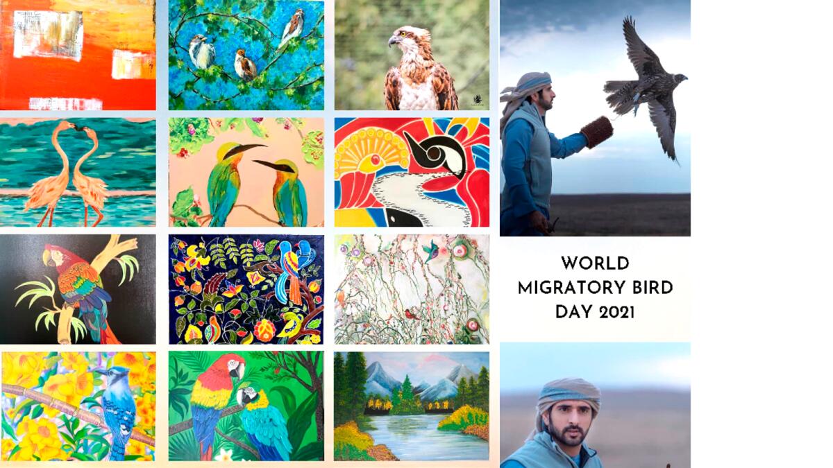 World Migratory Bird Day 2021 exhibition at Dubai Creek Park