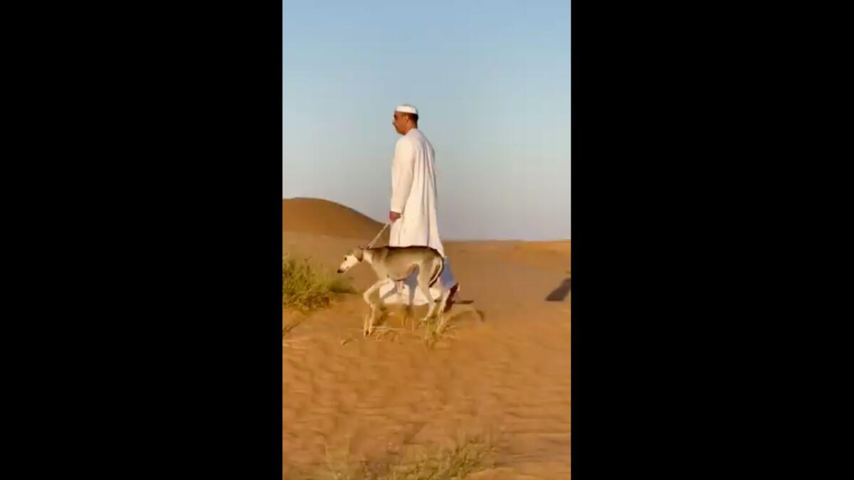 Screengrab from video tweeted by Sheikh Saif.