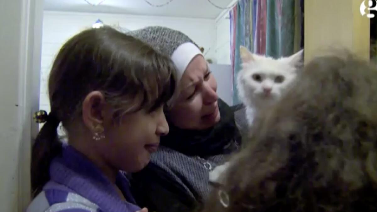 WATCH: Cat reunites with refugee family after 1,240 mile journey