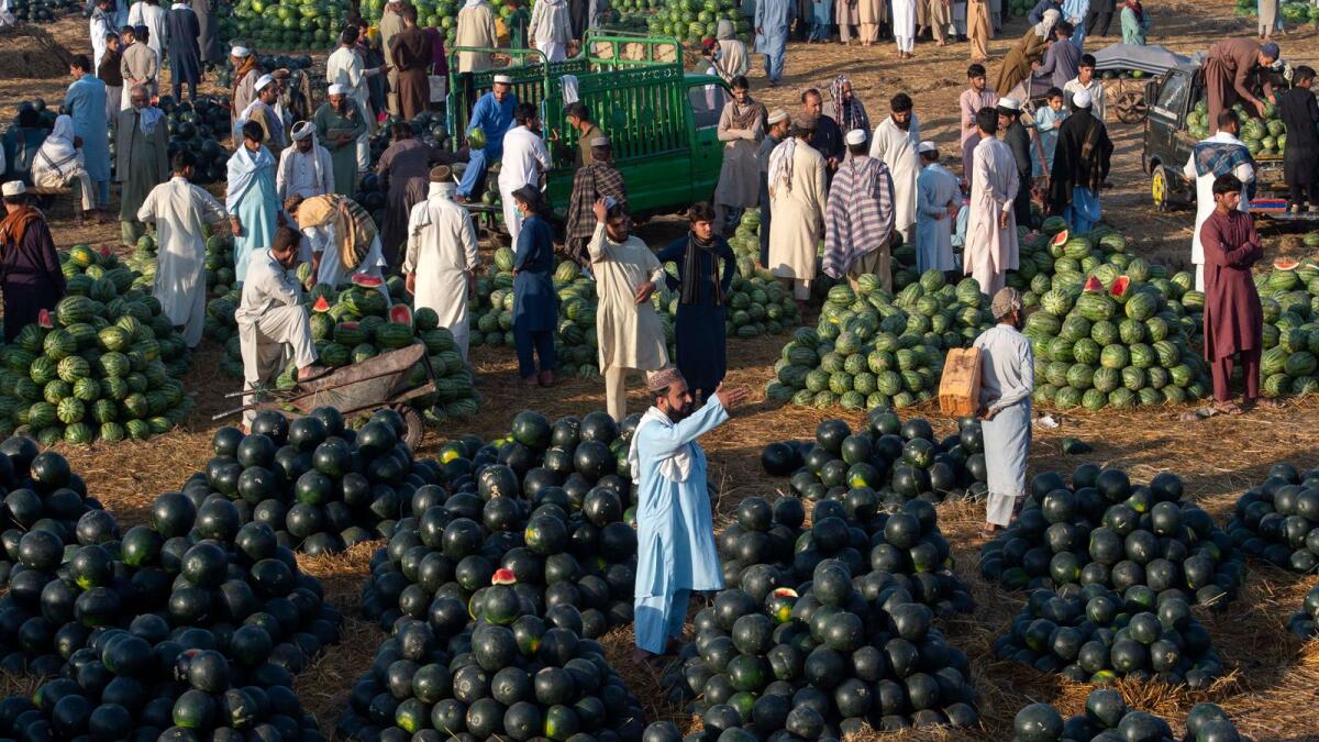 The performance of Pakistan’s agricultural sector has been critical in helping the country’s economic revival, with the government pledging more support.