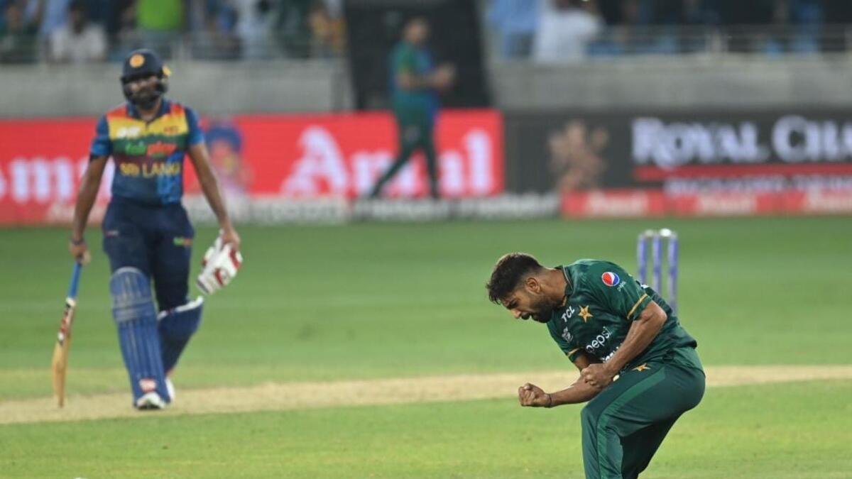 Harris Rauf celebrates after taking a wicket. Photo: M Sajjad