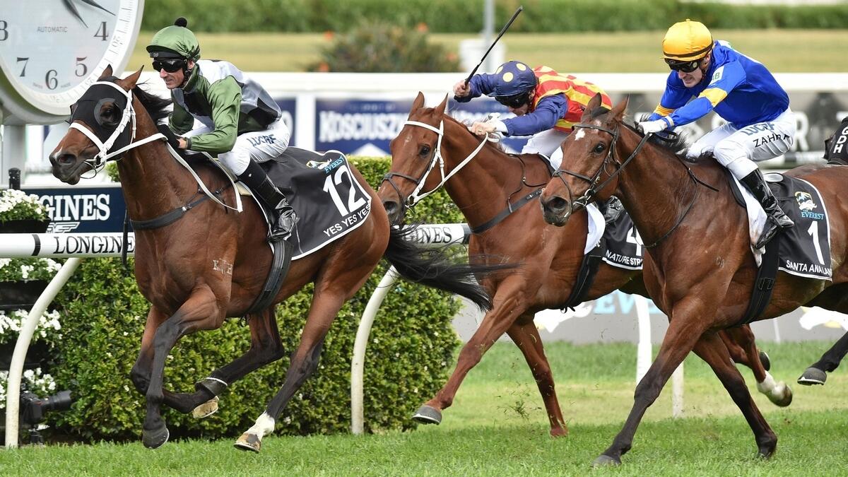 Horse racing carnival in Melbourne and Sydney to go on.