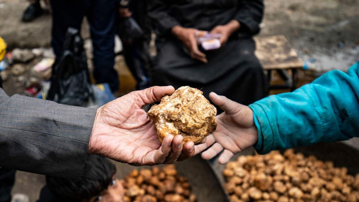 A customer buys a desert truffle from a merchant in a market in Syria's rebel-held northern city of Raqa on March 14, 2023.  The prized fungus can sell for up to $25 per kilogramme depending on size and grade —in a country where the average monthly wage is around $18.— AFP file
