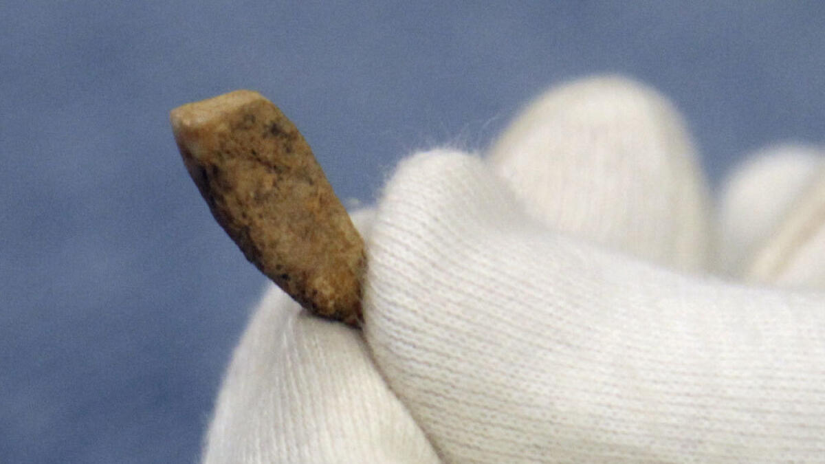 560,000-year-old tooth, the oldest human body part, found in France