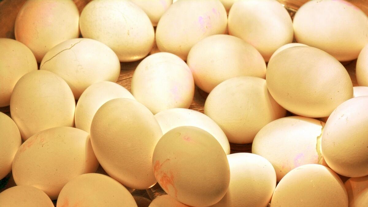 egg eating contest, Rs2,000 bet, Jaunpur, man dies of overeating