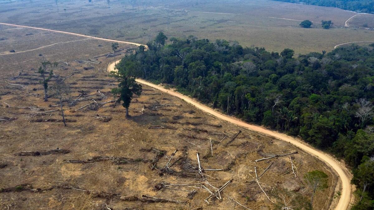 An aerial view of burnt areas of the Amazon rainforest, near Porto Velho, Rondonia state, Brazil.