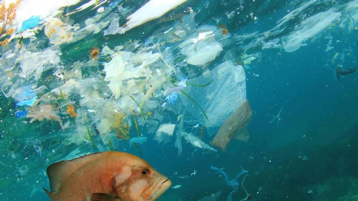 Over 8 million metric tonnes of land-based plastic goes into the oceans each year