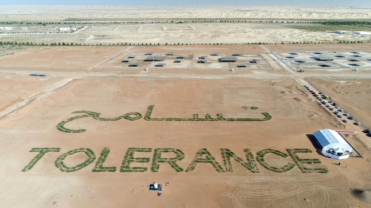 Abu Dhabi, spells out, tolerance, Ghaf trees, Year of Tolerance, Abu Dhabi desert, Al Faya area, 