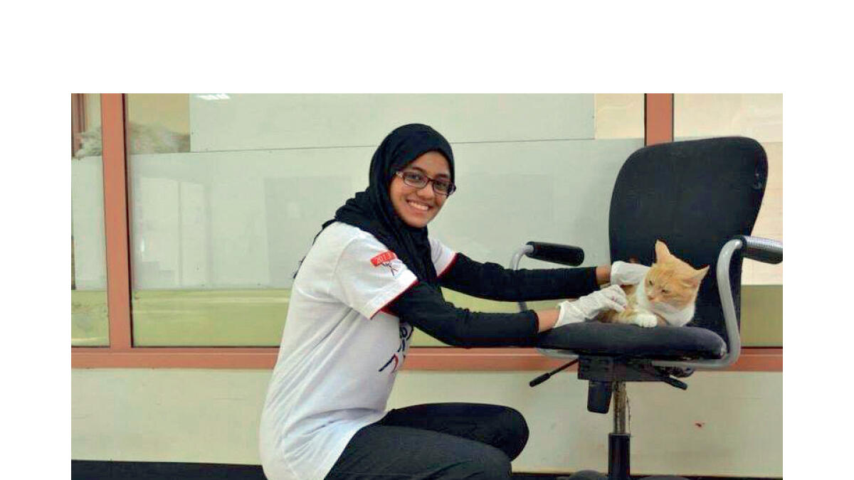 Saima undertook her first volunteering activity at the Sharjah Cats and Dogs Shelter where she began by taking care of cats.