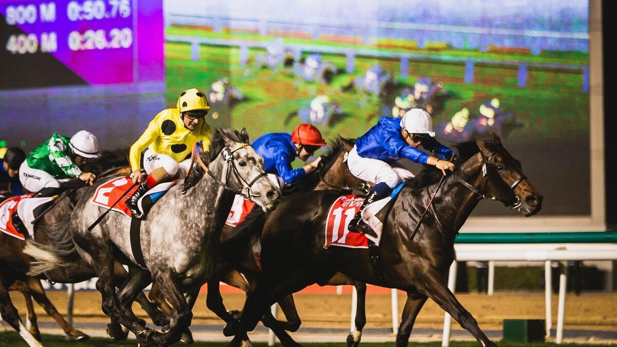 Only horse connections, racing officials, accredited media and sponsors will be permitted entry