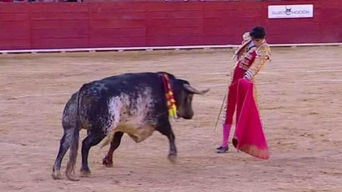 Horrific moment: Spanish bullfighter gored to death, streamed live on TV