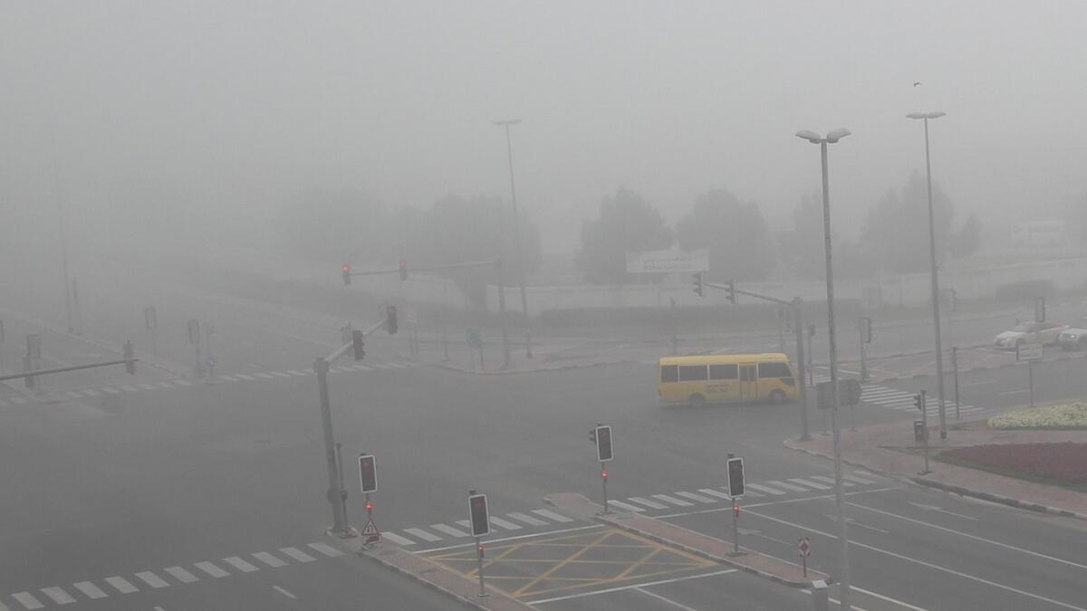 Flights delayed as dense fog takes over UAE