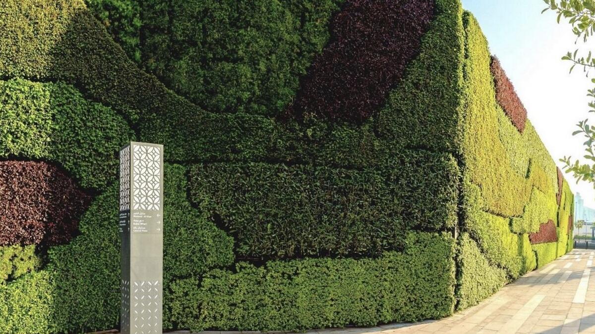 Dubai gets regions largest living green wall