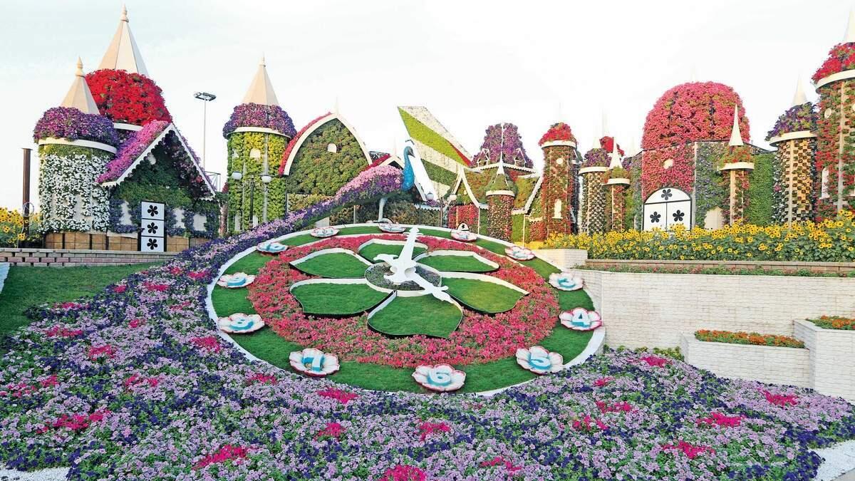In its sixth year now, the Dubai Miracle Garden sees additional attractions in the 72,000 sqm park in Al Barsha South 3, and 20 per cent more flowers compared to 2016. - Photo by Dhes Handumon