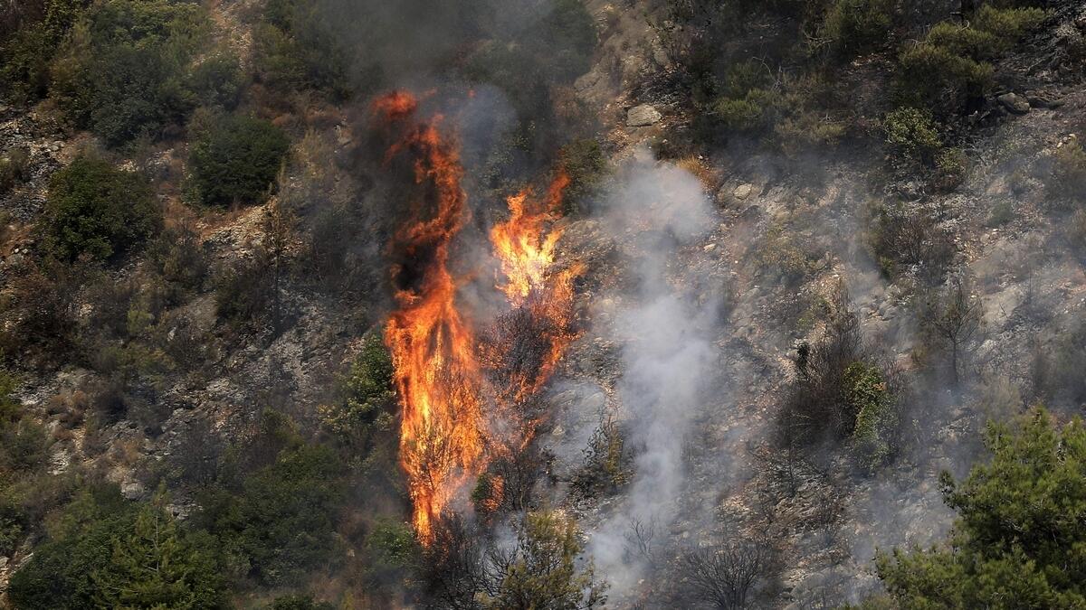 Lebanon forest fire, Saad hariri
