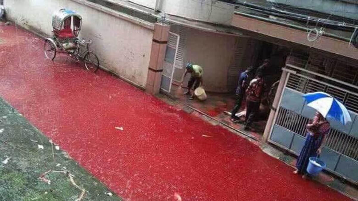 HORRIFIC blood streams in Dhaka after Eid Al Adha sacrifices