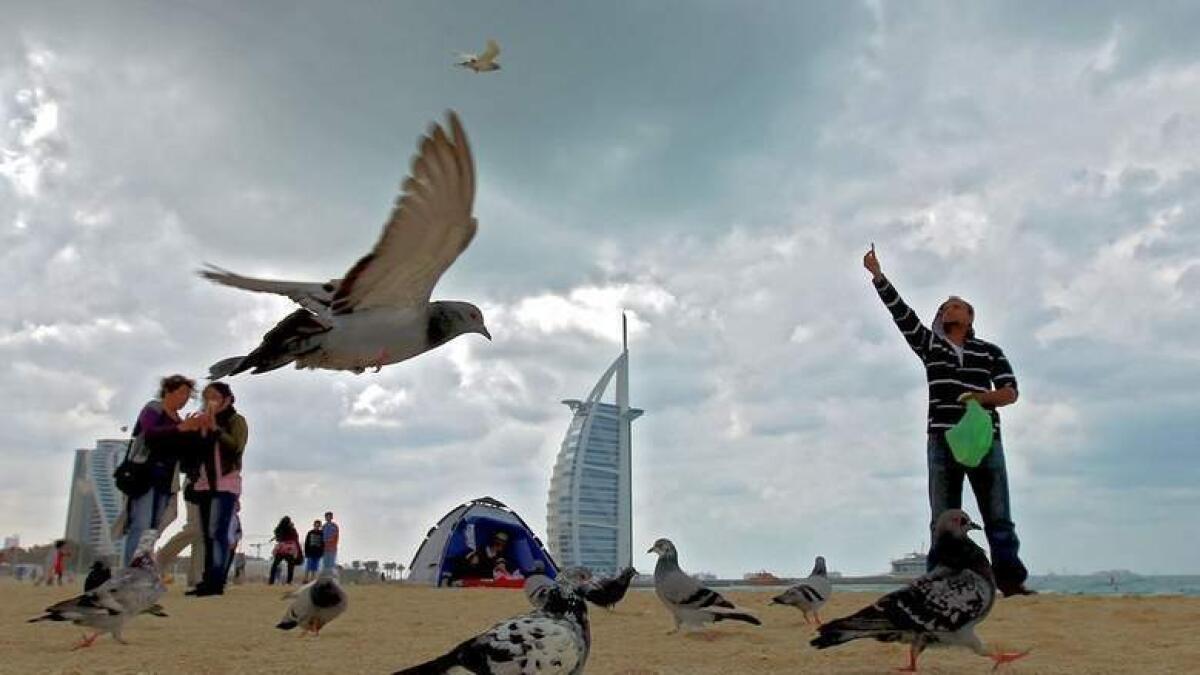 Rough sea and cloudy weather forecast for UAE