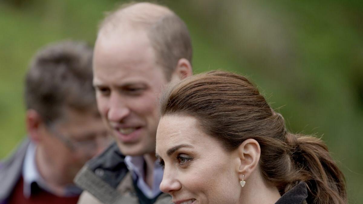 Prince William and Kates convoy injures elderly woman in crash