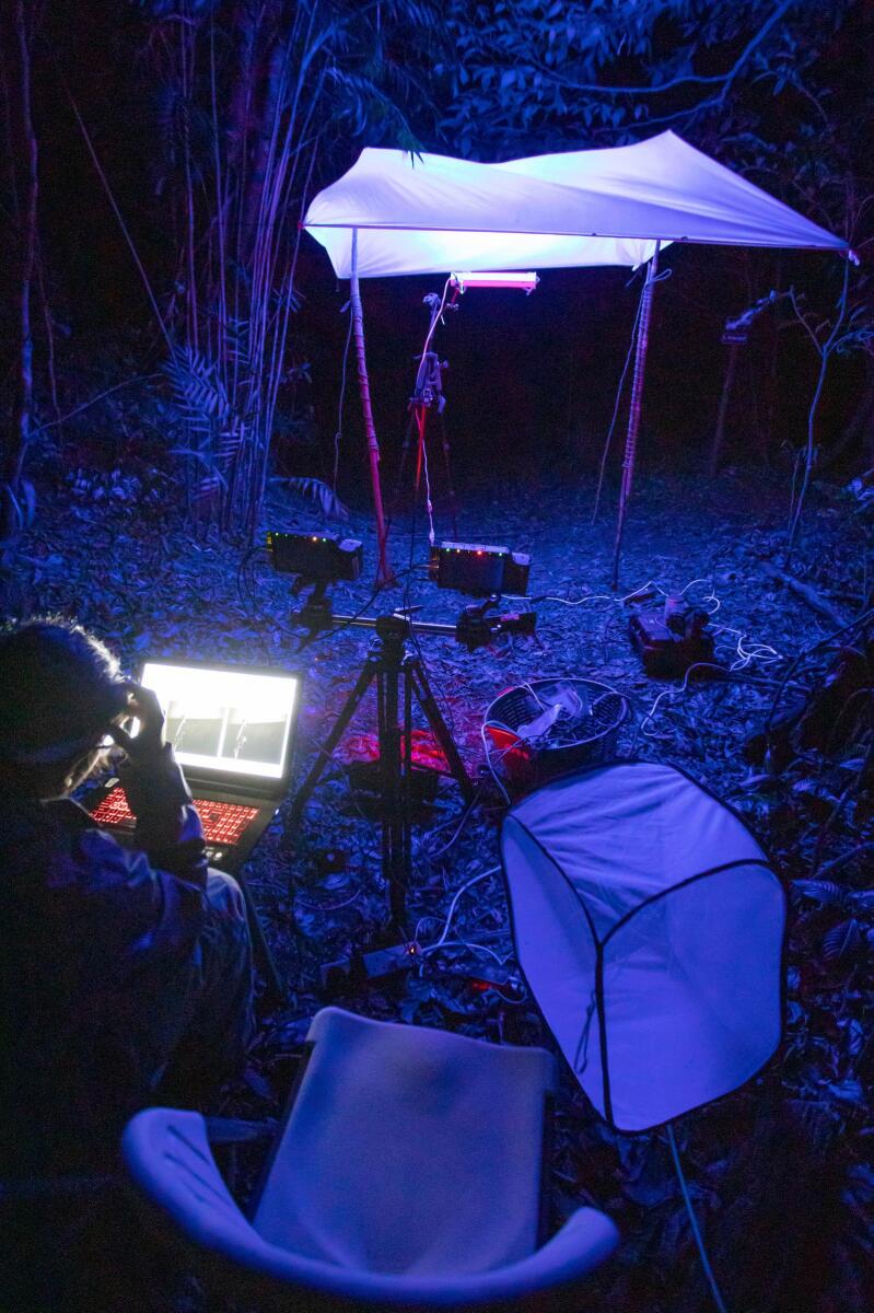 Ongoing experiments on the effect of artificial light on wild flying insects at the field site in Monteverde, Costa Rica. — AP