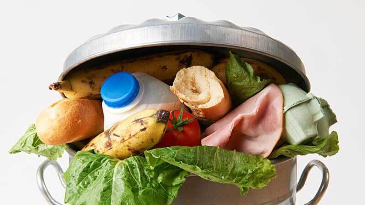 A proposal for the compulsory agreement to curb food wastage has been put forth.- Alamy Image