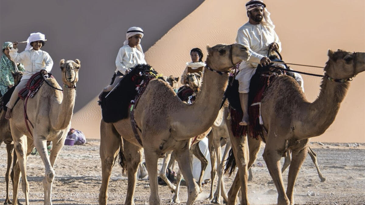 dubai, uae desert trek, camel trekking in uae
