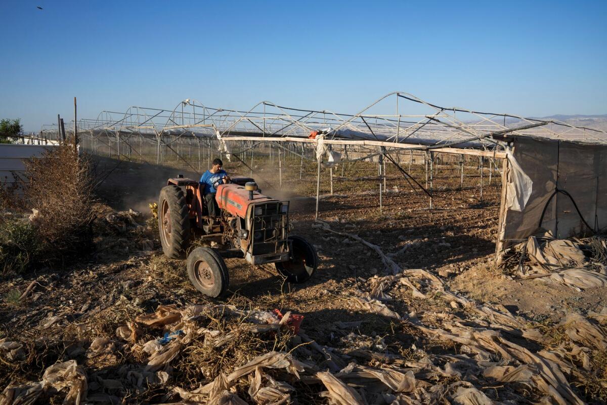 A Palestinian farmer works his land near the village of Bardala in the Jordan Valley,  on Tuesday, Aug.8, 2023.