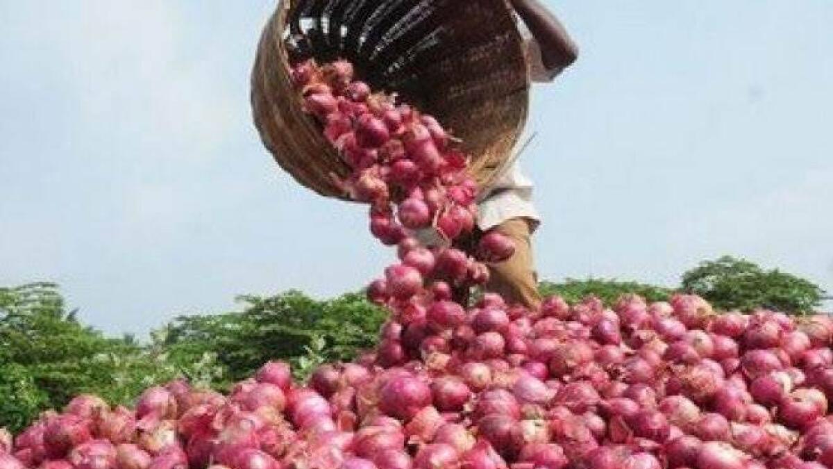 Indian onion export, Bangladesh, onion price