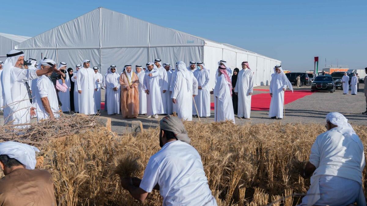 Sharjah Ruler witnesses harvest a