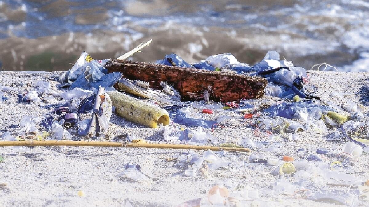 KT For Good: Your beach litter is killing oceans