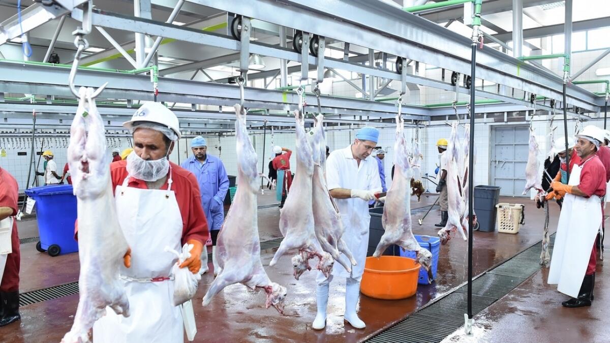 15,000 animals slaughtered in Abu Dhabi in first 2 days of Eid