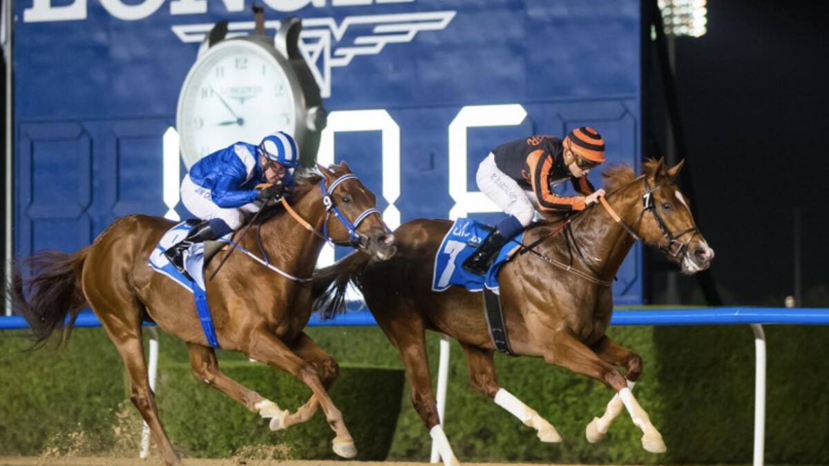 Gladiator King sprints to glory at Meydan