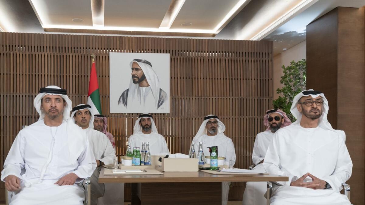 Video, Mohamed bin Zayed, updated, coronavirus, containment, efforts